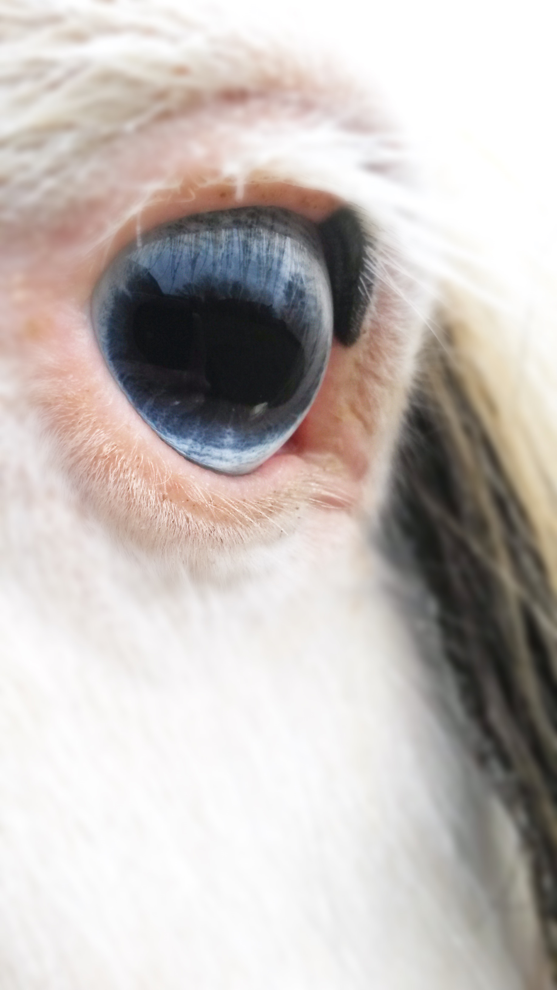 Babys got blue eyes