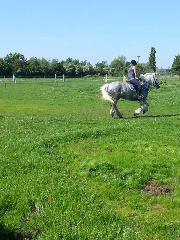 cantering
