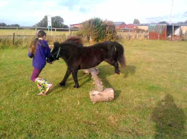Getting ready for Badminton 2010 ;-)