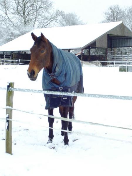 In the snow