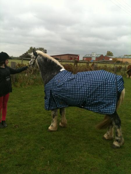 Lunan new rug