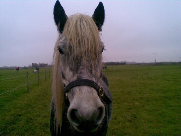 Lunan
