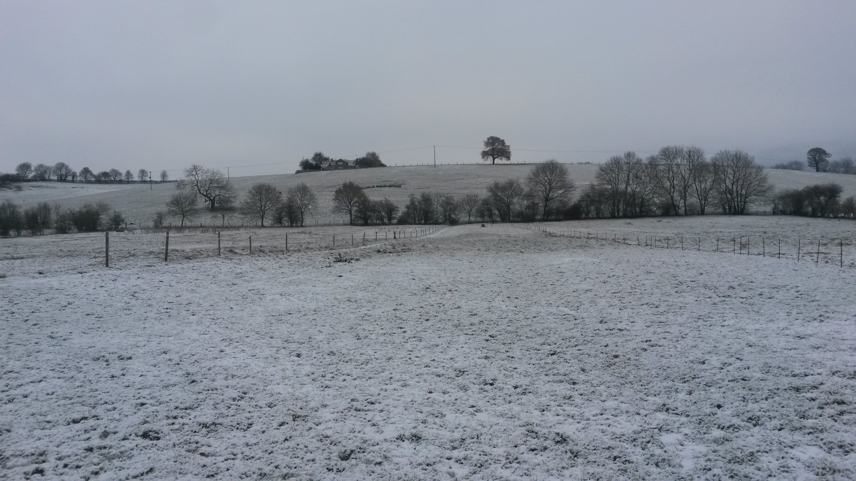 Snowy day
