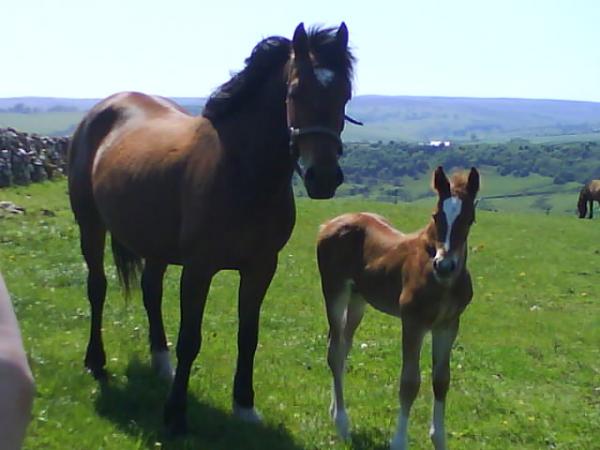 Storm and mum at 3 weeks